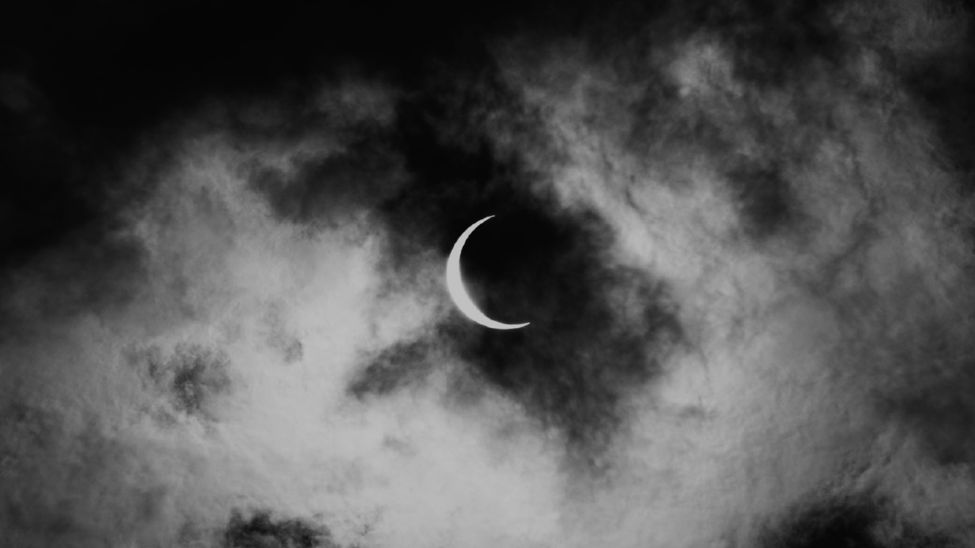 ZZ365は北海道発のフライドポテト専門店です